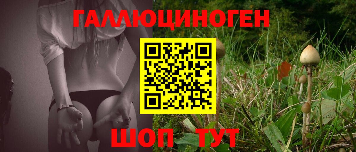 Чита  Псилоцибиновые грибы Psilocybe  Галлюциногенные грибы мицелий  Вход с VPN 
