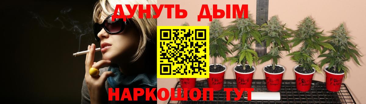 Шишки марихуана гибрид Чита